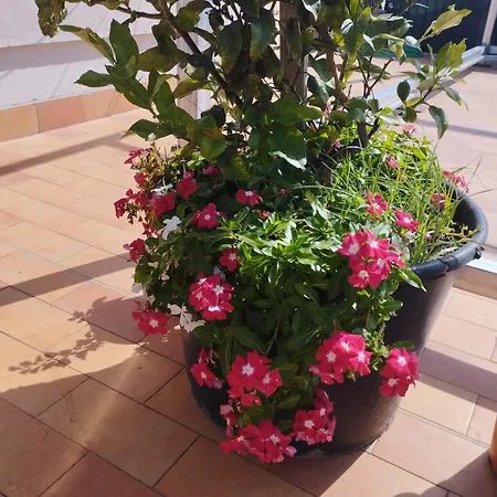 Benny House Σπίτι διακοπών